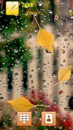 Rain