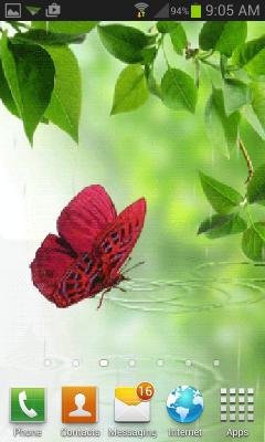 Rainy Butterfly LWP