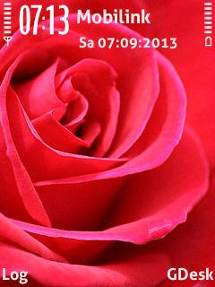 Red flower