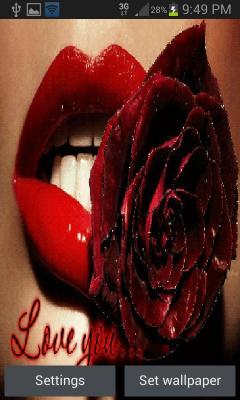 Red Lip Rose LWP