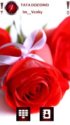 Red Love Rose