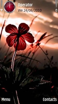 Red Meadow Flower