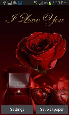 Red Rose Gift LWP