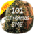 101 Christmas SMS S40
