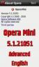 Opera Mini 5.1.21051 Advanced English S6