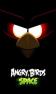 angry_bird_space(full version)