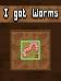 I got worms