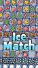 Ice match