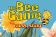The Bee game
