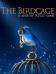 The birdcage: A mystery puzzle game
