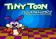 Tiny Toon Adventures: Buster's hidden treasure