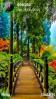Nature 3d