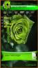 Green Rose