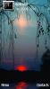 Red Nature