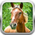 3D Horse Simulator Game