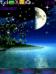 3d Moon Night