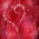 Valentine Love Sparkle Live Wallpaper LWP