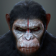 Dawn of the Planet of the Apes LWP 1