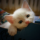 Om nom Kitten Live Wallpaper