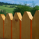 Long Fence Live Wallpaper