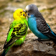 Sparkling Colorful Birds WP