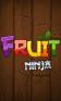 Fruit ninja new