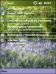 Bluebell Wood Theme for Pocket PC