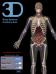 Body Systems Anatomy Quiz - iPad edition