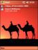 Camels AMF Theme for Pocket PC