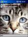 Cats 8 Theme for Pocket PC