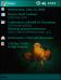 Clownfish 31 Theme for Pocket PC