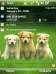 Dog STS Theme for Pocket PC