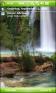 Havasu Falls Theme for Pocket PC