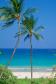 Hawaii's Big Island: Best Beaches