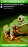 Lemur Frog2 Theme for Pocket PC