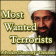 Most Wanted Terrorists Pocket Directory Database (Palm OS)
