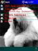 Old English Sheepdog mcl Theme for Pocket PC