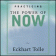 Practicing the Power of Now: Essential Teachings (Palm OS)