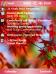 Red Autumn SPH Theme for Pocket PC