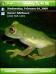 See Thru Frog Theme for Pocket PC