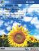 Sun Flower Light Menu VGA Theme for Pocket PC