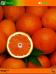 Tangy Oranges Theme for Pocket PC