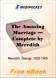 The Amazing Marriage - Complete for MobiPocket Reader