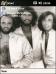 The Bee Gees 2004 Theme for Pocket PC