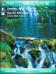 Tropical Waterfalls WM6 Theme for Pocket PC