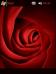 Very red rose gh Theme for Pocket PC