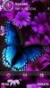 Abstract-Butterfly