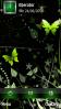 Abstract Butterflys