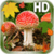 Autumn Leaves Mushroom Live HD