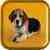 Beagle Puppy Live Wallpaper